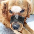 Miniatyrbild 3 av 5: Mjuk hund munkorg Anti-biting Barking Mesh Andas husdjur cover Gray XL