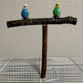 Miniatyrbild 1 av 4: Träformad fågelabborreställ