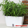 Miniatyrbilde 2 av 5: Plast Grønnsaker Plantekasser Baker Grønnsaker Dyrking Container Hage Blomsterplante Potte For Balkong SC01
