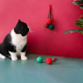 Miniatyrbillede 4 af 5: Cat Scratch Toy Inbyggd skramlande sten Reptålig husdjur Katt Hängande Sisal Scratch Ball Leksak Husdjurstillbehör Stad Red