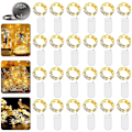 Miniatyrbild 1 av 5: Fairy String Lights, batteridrivna vattentäta lampor