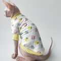Miniatyrbild 1 av 5: Hårlösa kattkläder Varm bomull Katt Sphinx Devon Kattkläder Mjuka hudvänliga kattkappor Katttillbehör Katttillbehör 2 Xs