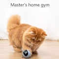 Miniatyrbild 2 av 5: Cat Toy Pet Electric Intelligent Interactive Cat Toy Ball 360-graders automatiskt roterande jaktleksak Blue