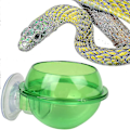 Miniatyrbild 3 av 4: 2 st sugkopp reptilmatare Anti-escape Reptil matskål (grön)