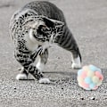 Miniatyrbild 4 av 4: 7st färgglad kattboll, handgjord plysch studsboll och Bark Interactive Niuniu