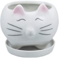 Pikkukuva 1 / 5: Cat Succulent Planter Pot Vedenpoistoalusta Keraaminen kaktuskukkasäiliö