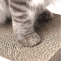 Miniatyrbild 5 av 5: Cat Scratching Board med premium scratch texturer Design krökt form Vändbar användning Slitstark skrapdyna Wave
