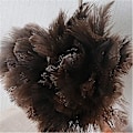 Pikkukuva 3 / 5: Feather Duster Strutsi Bambu Kahva Feather Duster Strutsi