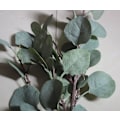 Miniatyrbillede 4 af 5: Kunstig Eucalyptus Garland Lange Sølv Dollar Blade Løvplanter