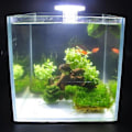 Miniatyrbillede 4 af 4: Akvarium Led Fan-formet klemmelampe med 8 stk High Light