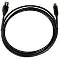 Pikkukuva 3 / 4: USB3.2 Gen1x1 USB-C - USB-B 3.0 2 metriä