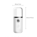 Miniatyrbillede 4 af 5: Nano Mist Sprayer Køler Ansigtsdamper GRØN green