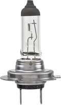 Standard Halogenlampa, 12 V, 55W-max