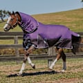 Miniatyrbild 4 av 4: Weatherbeeta Comfitec Lite Plus Dynamic Detach-A-Neck Turnout R Purple/Black 4ft 6