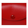 Miniatyrbild 2 av 2: Regatta Glasögonfodral One Size True Red True Red One Size