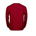 Miniatyrbild 2 av 2: Tee Jays Power Sweatshirt XS Röd Red XS