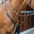 Miniatyrbild 2 av 2: Velociti Lusso Läder Hästbröstplatta Cob Svart Black Cob