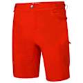 Miniatyrbild 3 av 3: Dare 2B Herr Tuned In II Multi Pocket Vandringshorts 42 tum Burnt Burnt Salmon 42in