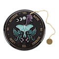 Miniatyrbild 1 av 2: Something Different Luna Moth Spådomskit Set One Size Multi Multicoloured One Size