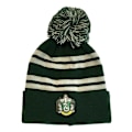 Miniatyrbild 1 av 2: Harry Potter Slytherin Beanie One Size Grön/Silver Green/Silver One Size