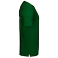 Miniatyrbild 3 av 3: Tee Jays Interlock T-shirt för män L Skogsgrön Forest Green L