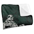 Miniatyrbild 3 av 6: Harry Potter Slytherin Crest Filt En Storlek Flerfärgad Multicoloured One Size