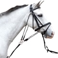 Miniatyrbild 2 av 2: Hy De Gouge Cob/Full Svart Black Cob/Full