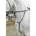 Miniatyrbild 2 av 2: Whitaker Lynton Läder Running Martingale Cob Svart Black Cob