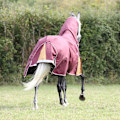 Miniatyrbild 2 av 5: Highlander Plus Combo Neck 100g Hästtäcke 7´ 3 Maroon Maroon 7´ 3