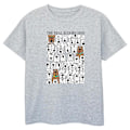 Miniatyrbild 1 av 3: Scooby Doo Boys The Real Scooby Doo T-shirt 12-13 år Sport Sports Grey 12-13 Years