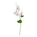 Miniatyrbild 1 av 2: Hill Interiors The Natural Garden Collection Luktärt Konstgjord Pink One Size