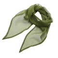 Miniatyrbild 2 av 2: Premier Unisex Vuxen Färger Chiffong Scarf En Storlek Oasis Grön Oasis Green One Size