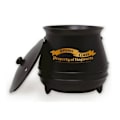 Miniatyrbild 1 av 2: Harry Potter Gryta Mugg One Size Svart Black One Size