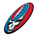 Miniatyrbild 2 av 2: Grateful Dead Steal Your Face Klassisk Vävd Stryk-på-lapp One S Blue/Red/White One Size