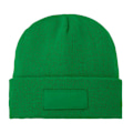 Miniatyrbild 1 av 2: Bullet Boreas Beanie med Patch, Storlek One Size, Fern Green Fern Green One Size