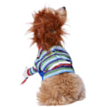 Miniatyrbild 3 av 3: Chucky Husdjurskostym Set S Flerfärgad Multicoloured S