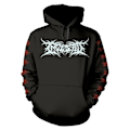 Miniatyrbild 1 av 2: Ingested Unisex Vuxen The Tide Of Death And Fractured Dreams Ho Black M