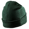 Miniatyrbild 2 av 2: Result Winter Essentials Unisex Vuxen Dubbelstickad Skrivare Patch Bottle Green One Size