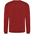 Miniatyrbild 2 av 2: Pro RTX Mens Pro Sweatshirt 4XL Röd Red 4XL