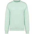 Miniatyrbild 1 av 3: Native Spirit Dam/Dam Oversized Sweatshirt 3XL Brook Gree Brook Green 3XL