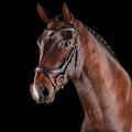 Miniatyrbild 2 av 2: Collegiate Comfitec Vogue Läder Hästgrimma Varmblod Brun Brown Warmblood