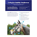 Miniatyrbild 3 av 3: Collegiate Comfitec Crystal Läder Bridle Cob Svart Black Cob