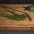 Miniatyrbild 5 av 6: Hill Interiors Faux Amaranthus 1m Grön Green 1m