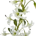 Miniatyrbild 2 av 4: Hill Interiors Turk´s Cap Lily Spray Konstgjord Blomma One Size Green One Size