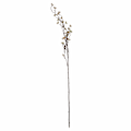 Miniatyrbild 3 av 3: Hill Interiors Branch In Bloom Filler One Size Grön Green One Size