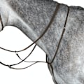 Miniatyrbild 1 av 2: Collegiate Läder Running Martingale IV Warmblood Brun Brown Warmblood