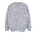Miniatyrbild 2 av 3: Scooby Doo Boys Pizza Ghost Sweatshirt 5-6 år Sports Grey Sports Grey 5-6 Years