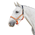 Miniatyrbild 1 av 2: Kincade Deluxe Webbed Headcollar Med Läderkrona Full Orange Orange Full