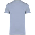 Miniatyrbild 2 av 3: Native Spirit Unisex Vuxen Kraftig Slim T-Shirt XL Aquamari Aquamarine XL