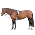 Miniatyrbild 2 av 2: Hy Horse Lunging System One Size Marinblå/Grå Navy/Grey One Size